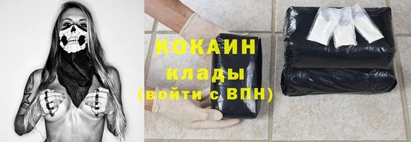 прущие грибы Армянск