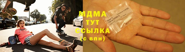 прущие грибы Армянск