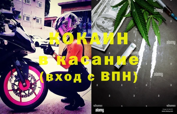 прущие грибы Армянск