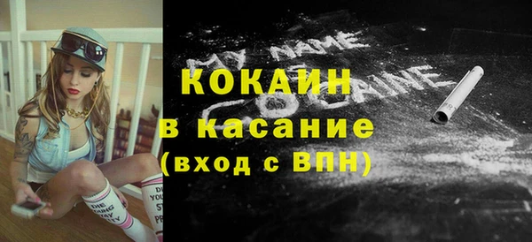 прущие грибы Армянск