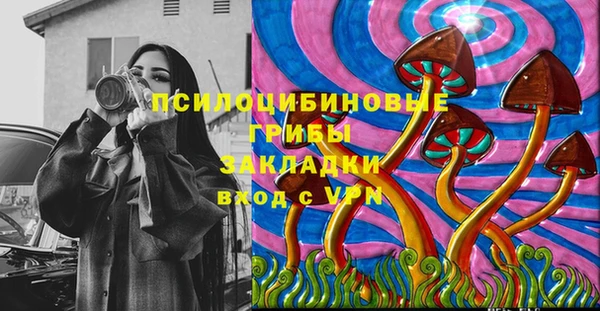 прущие грибы Армянск